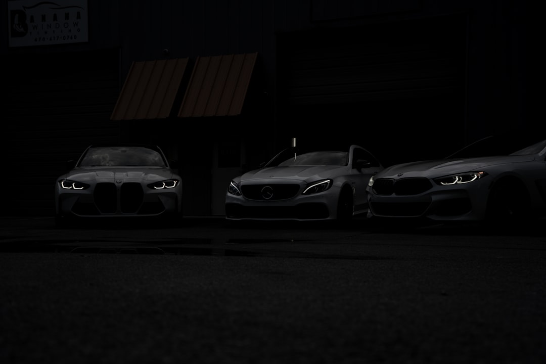 Photo protect car paint