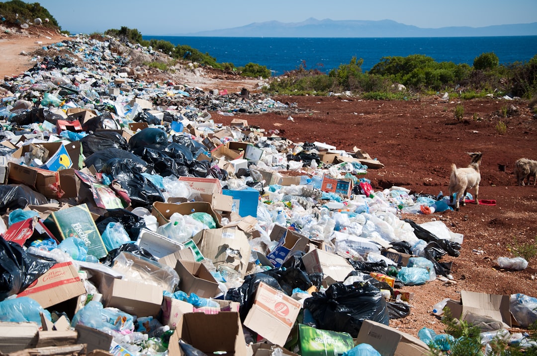 Photo pollution