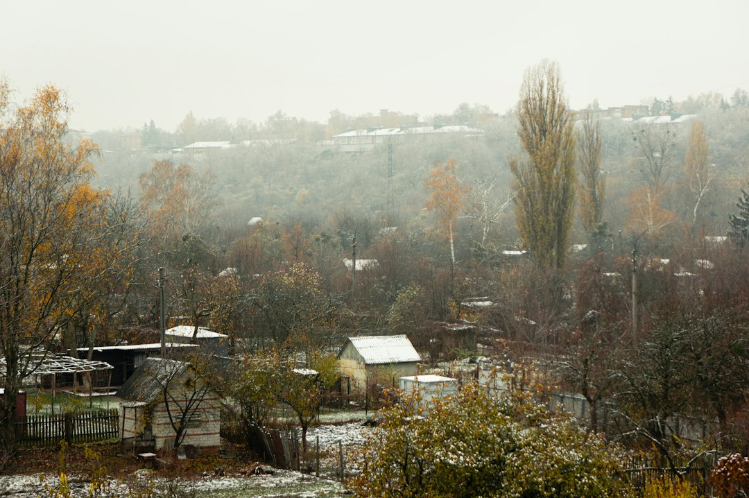 Photo anvelope potrivite sezonului