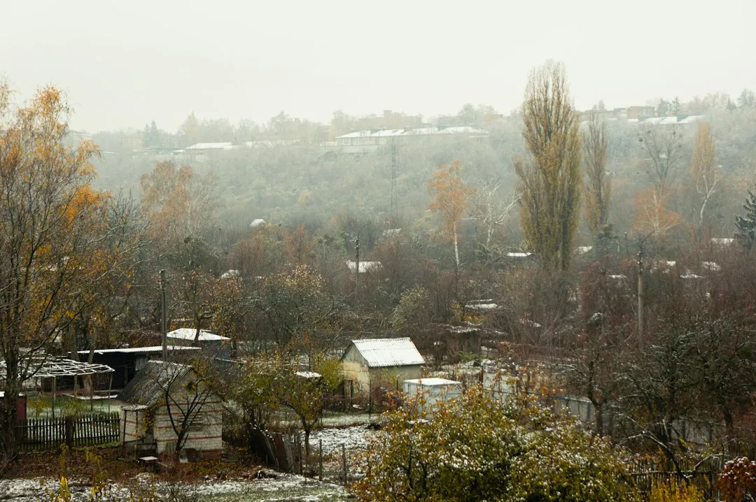 Photo anvelope potrivite sezonului