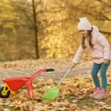 Greblă care adună frunze de toamnă de pe gazonul unei grădini, lângă un strat de flori