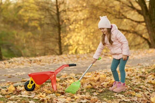 Greblă care adună frunze de toamnă de pe gazonul unei grădini, lângă un strat de flori